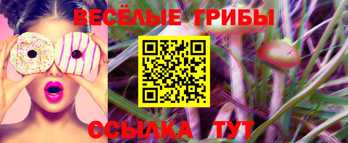Галлюциногенные грибы Psilocybe  Вход с VPN  Павловский Посад 
